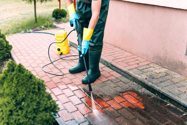 Paint Preparation in Arlington, MN